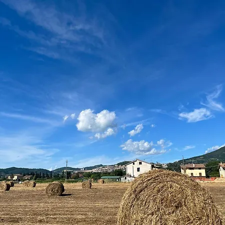 Luci Di Wellness فندق مبيت وإفطار 4*