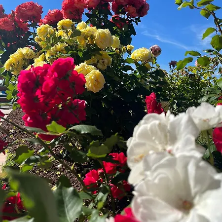 فندق مبيت وإفطار Luci Di Wellness 4*