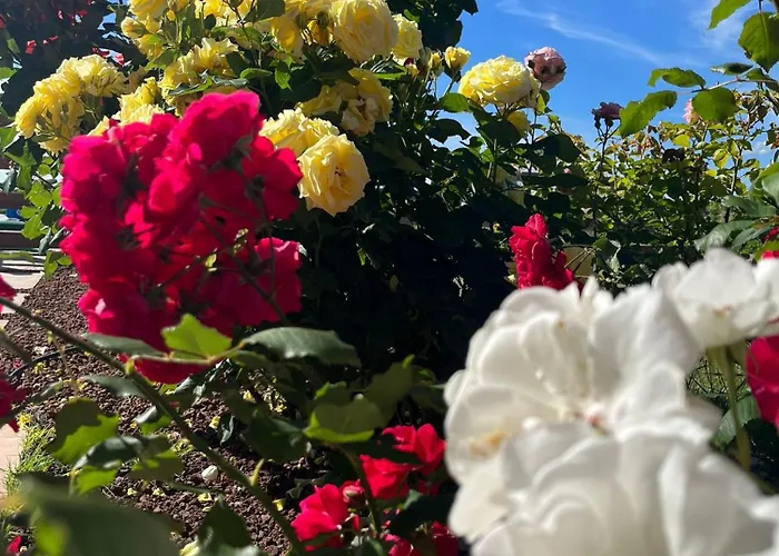 Bed & Breakfast Luci Di Wellness 4*